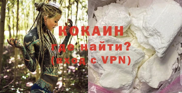 PSILOCYBIN Аркадак
