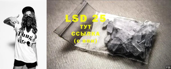 PSILOCYBIN Аркадак