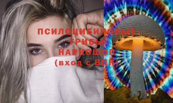 каннабис Новокубанск
