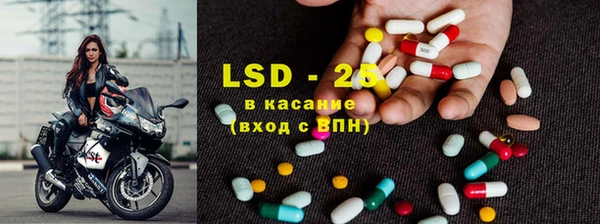 PSILOCYBIN Аркадак